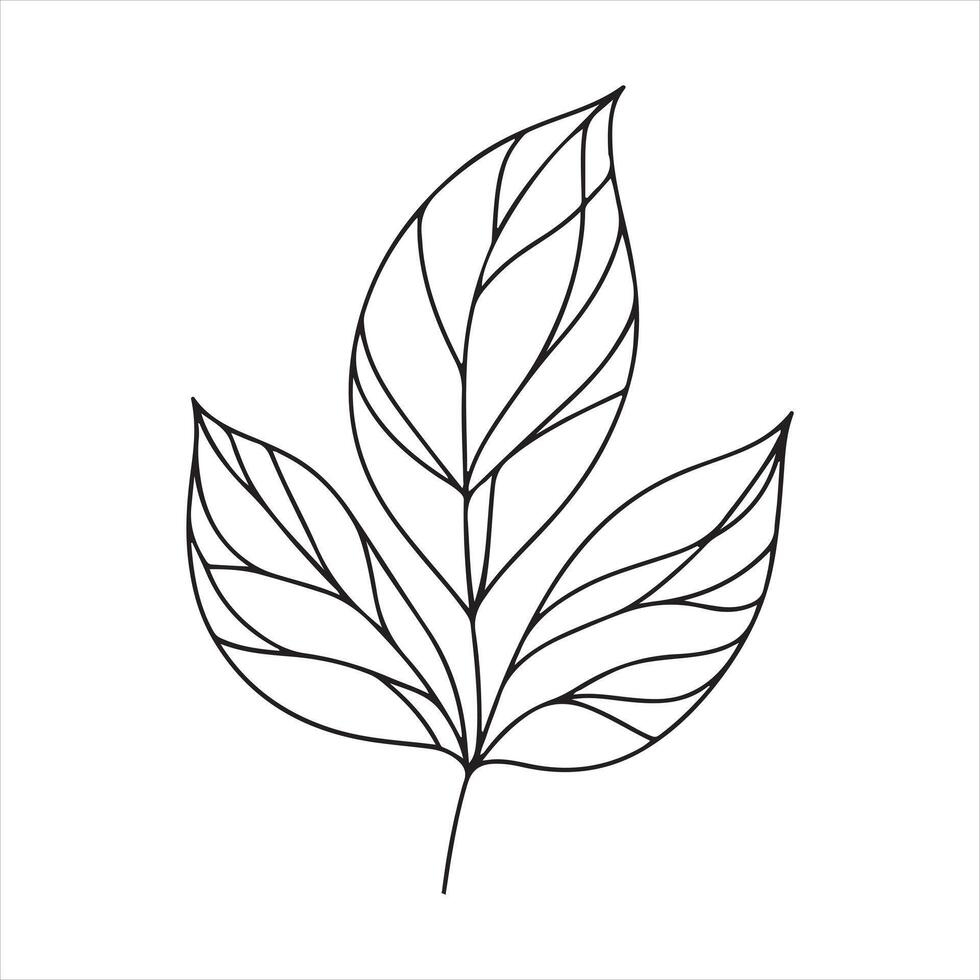 single one line Leaf silhouette white background vector