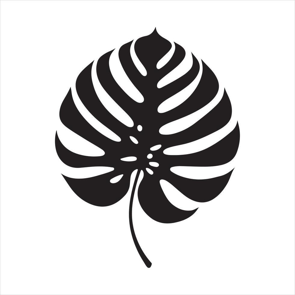 Monstera Leaf silhouette on white background vector