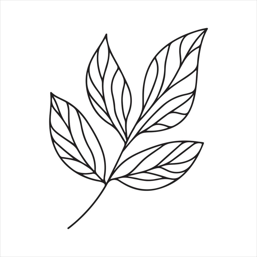 single one line Leaf silhouette on white background vector