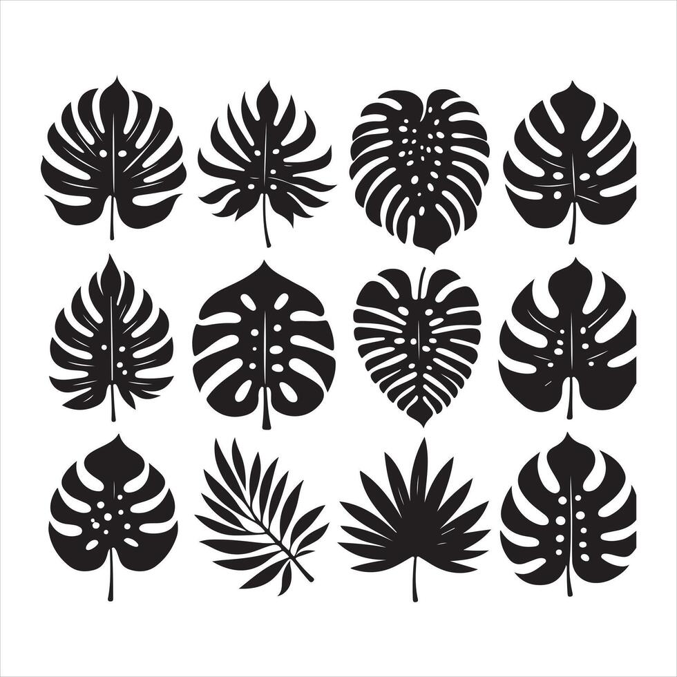 Monstera Leaf black silhouette on white background vector