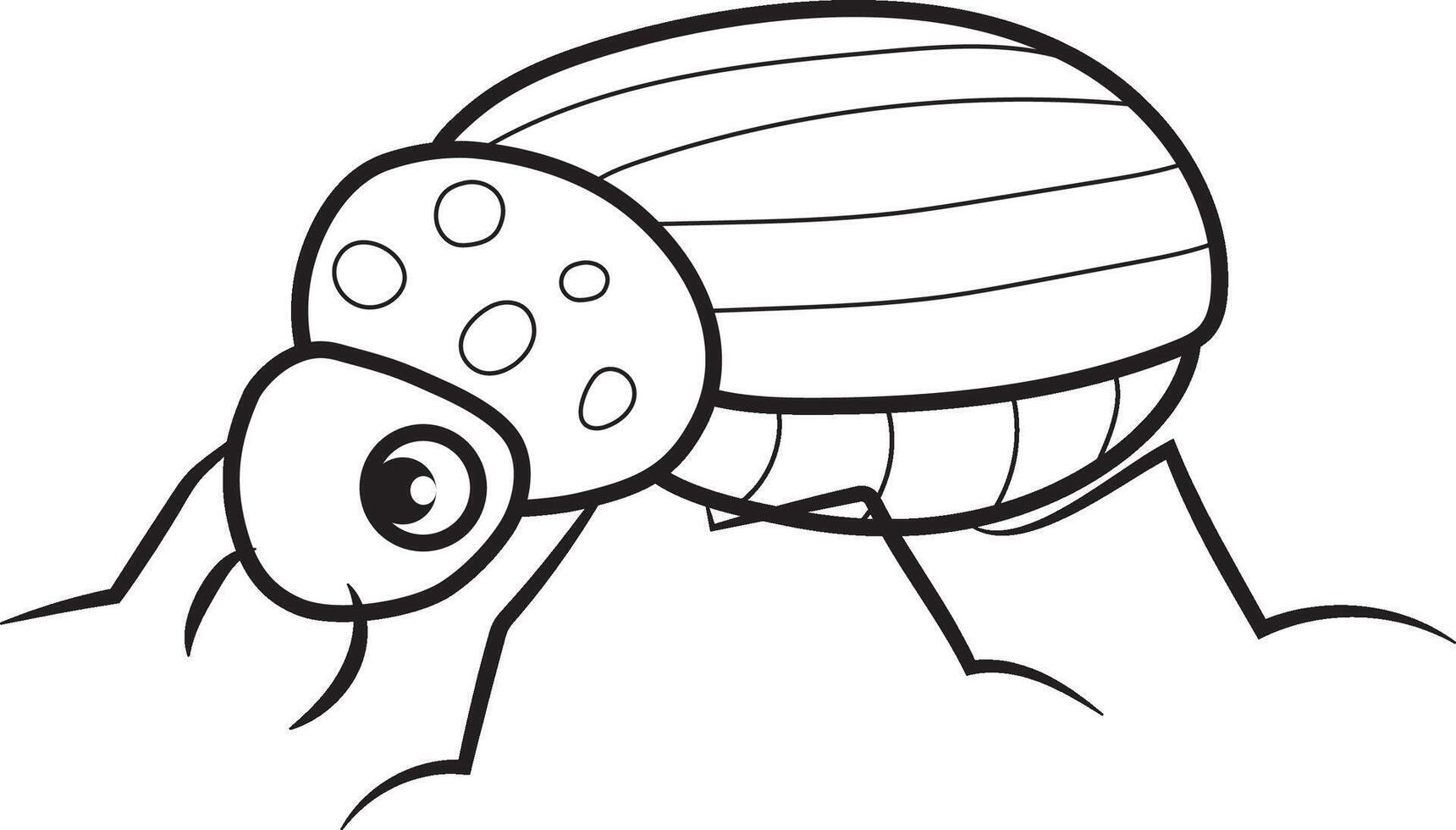 Coloring book 2D insect beetle vector