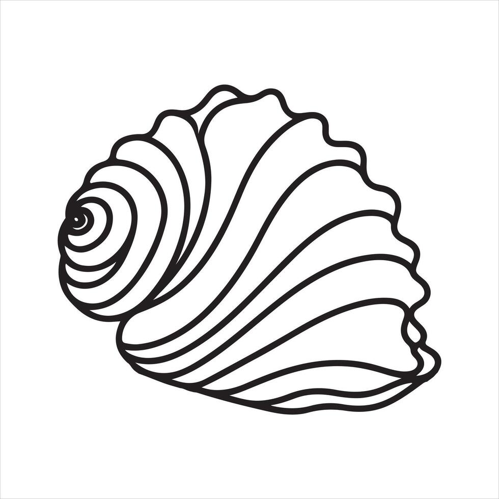 single line seashell silhouette on white background vector