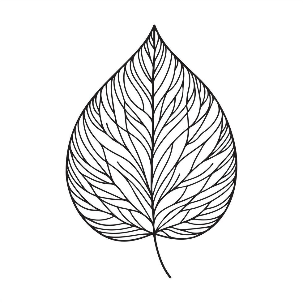 single line Leaf silhouette white background vector