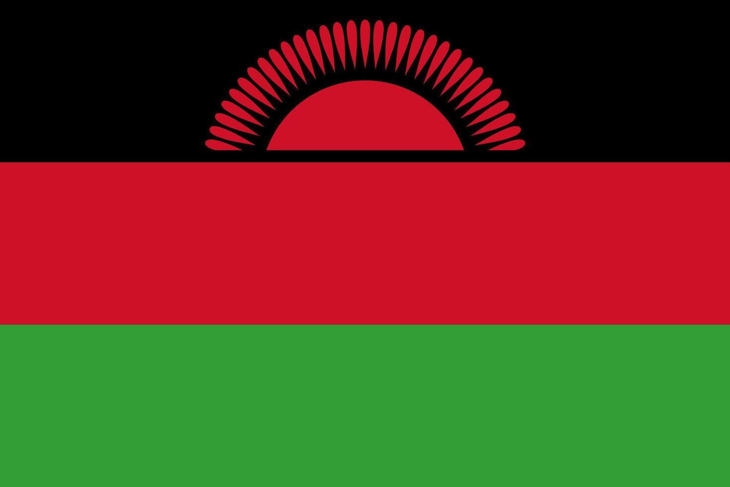 Flag of Malawi vector