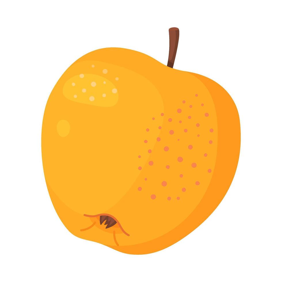 Yellow ripe apple, fresh garden fruit. Hand drawn food clipart. Whole fruit Flat style isolated on transparent background. Golden Delicious illustration vector