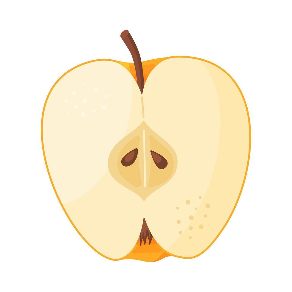Yellow ripe half apple, fresh garden fruit. Hand drawn food clipart. Half, slice of fresh yellow apple fruit, Flat style isolated on transparent background. Golden Delicious illustration vector