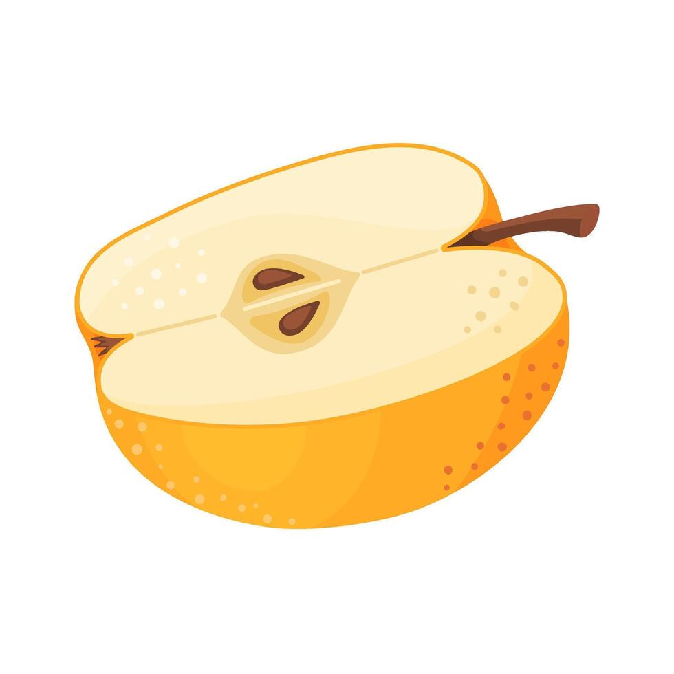 Yellow ripe half apple, fresh garden fruit. Hand drawn food clipart. Half, slice of fresh yellow apple fruit, Flat style isolated on transparent background illustration vector