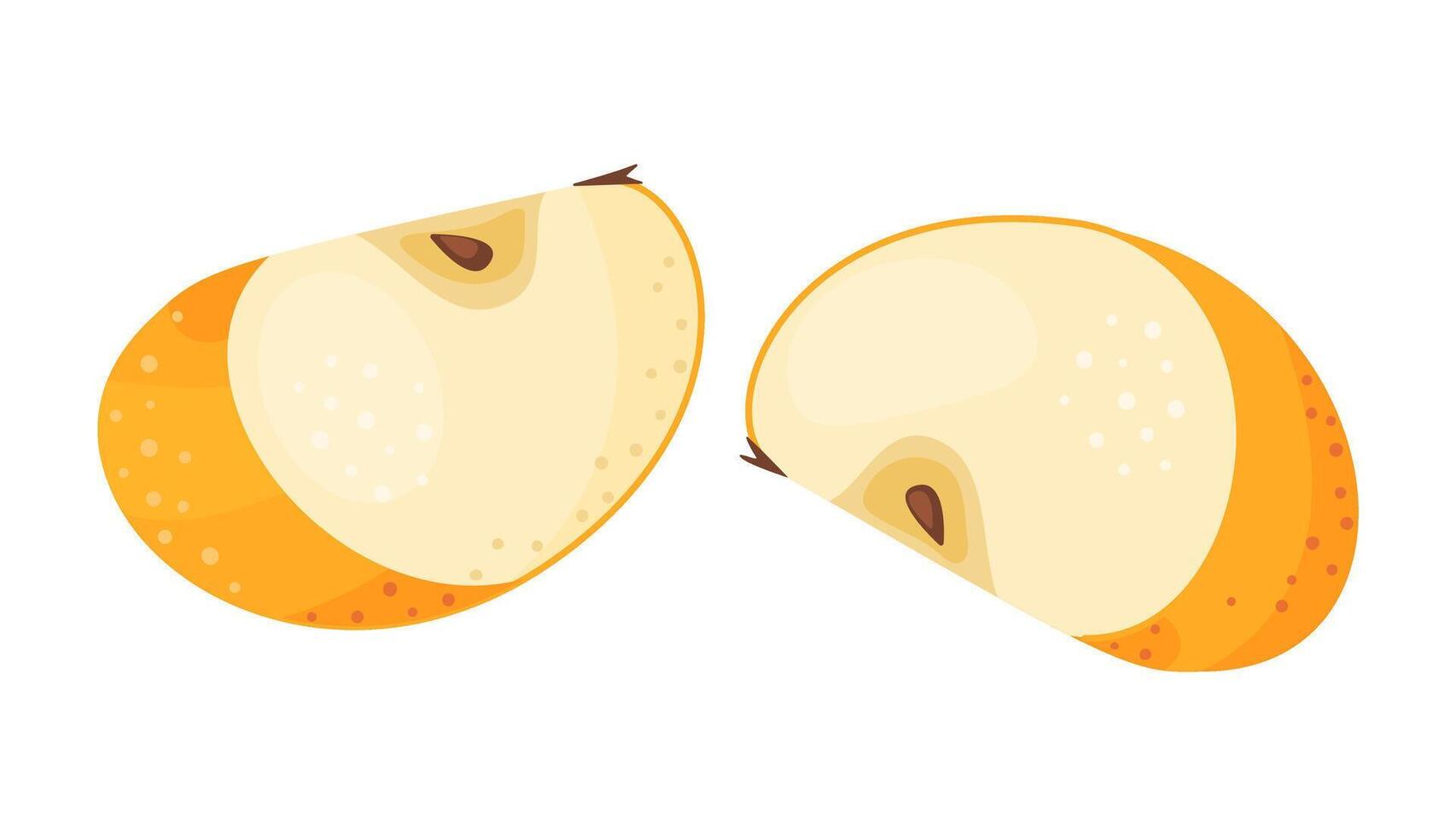 Two Yellow ripe apple slices, fresh garden fruit. Hand drawn food clipart. Slices of fresh yellow apple fruit, Flat style isolated on transparent background. Golden Delicious illustration vector
