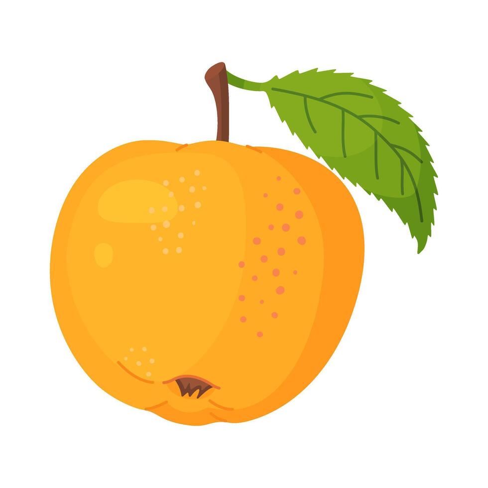 Yellow ripe apple with leaf, fresh garden fruit. Hand drawn food clipart. Whole fruit with green leaf, Flat style isolated on transparent background. illustration vector