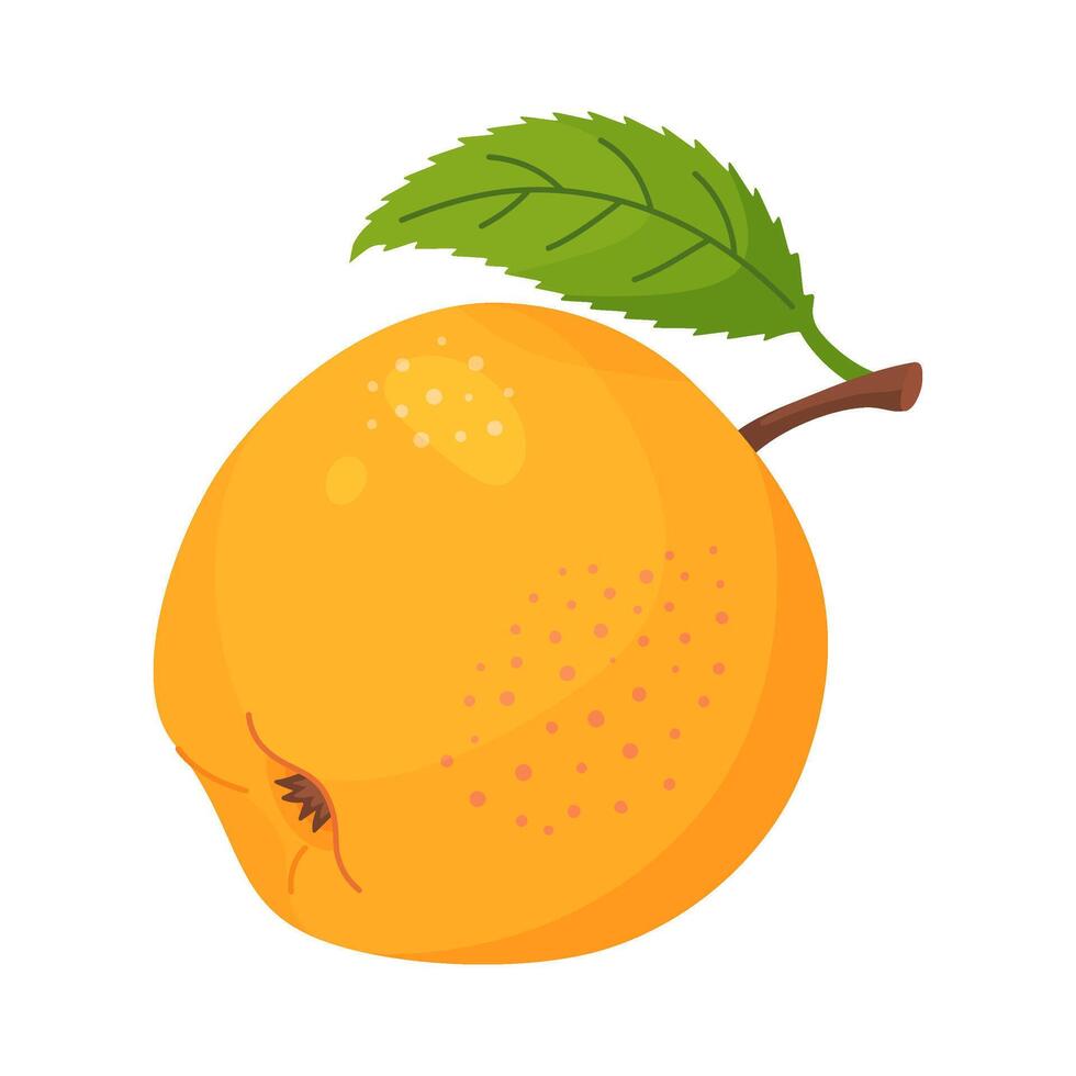 Yellow ripe apple with leaf, fresh garden fruit. Hand drawn clipart. Whole fruit with green leaf, Flat style isolated on transparent background icon vector