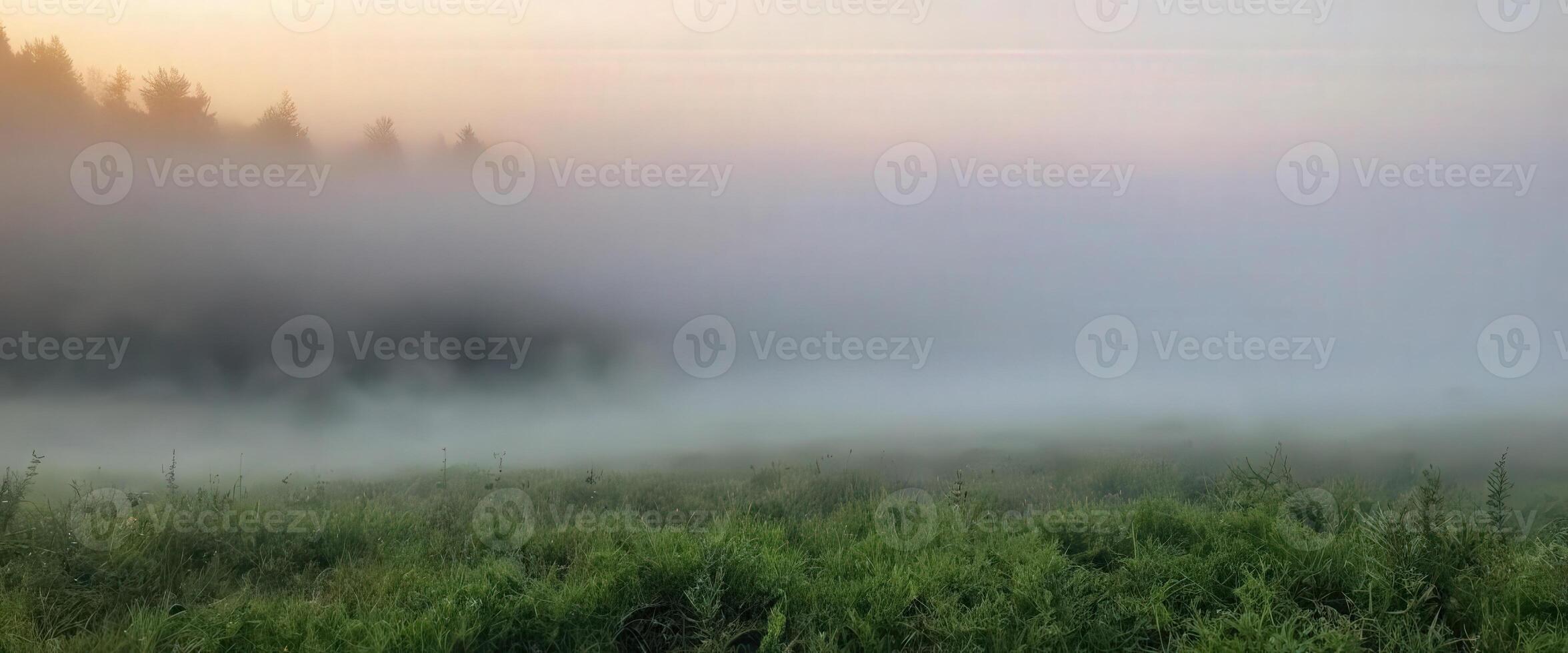 A field of grass and trees with fog in the background photo
