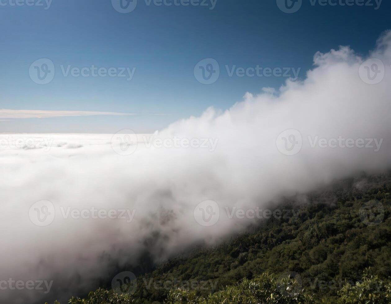 A view of the clouds photo