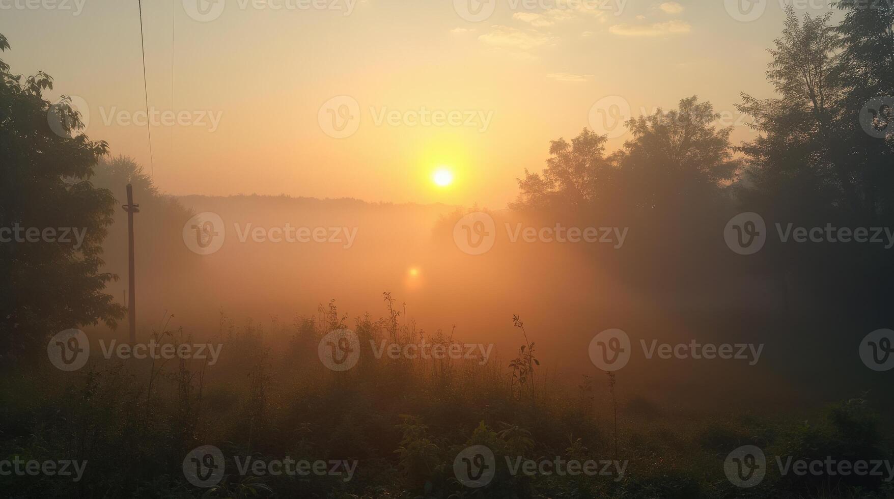 The sun rises over a foggy field photo