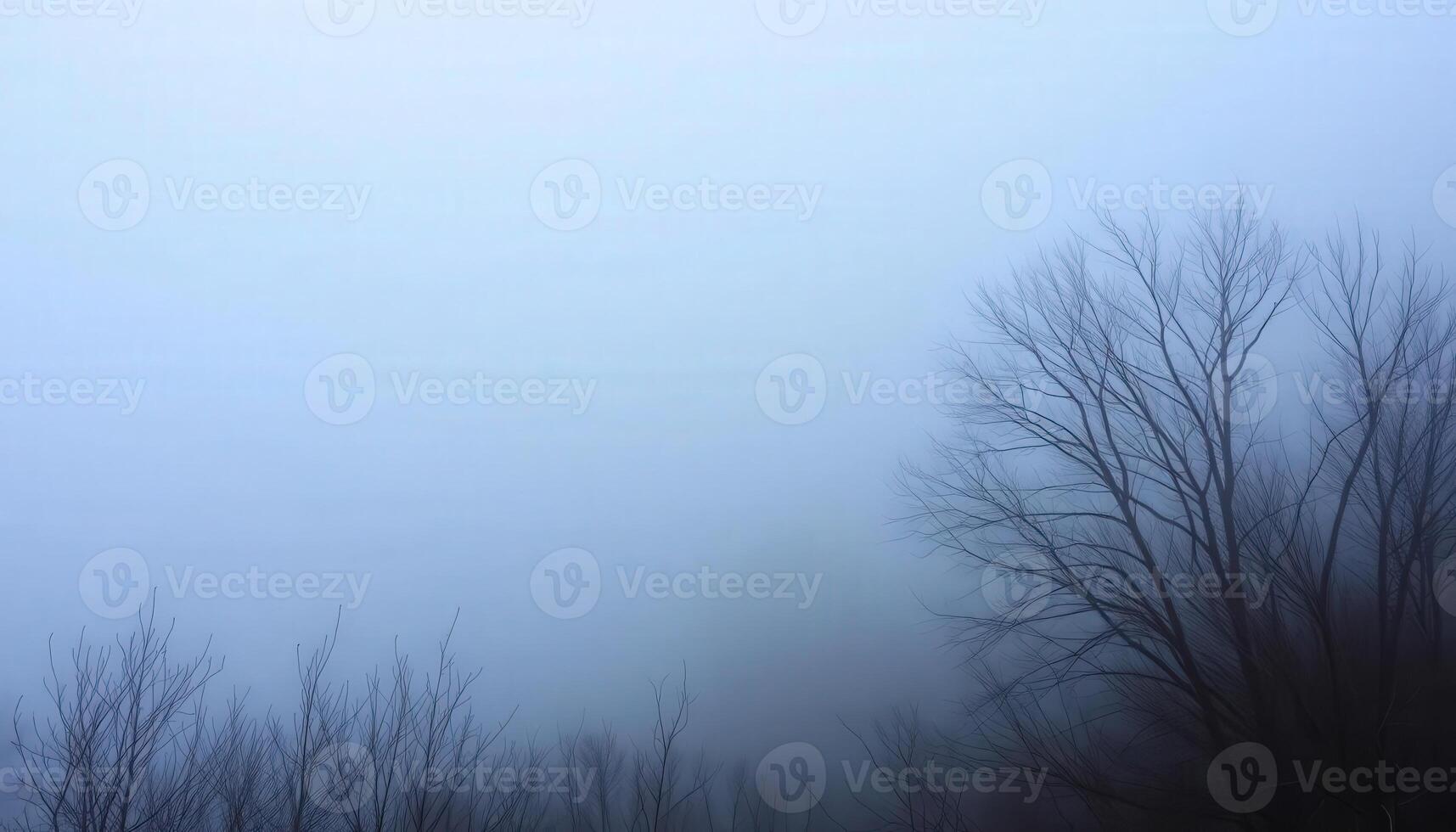 A foggy scene with bare trees and a sky photo