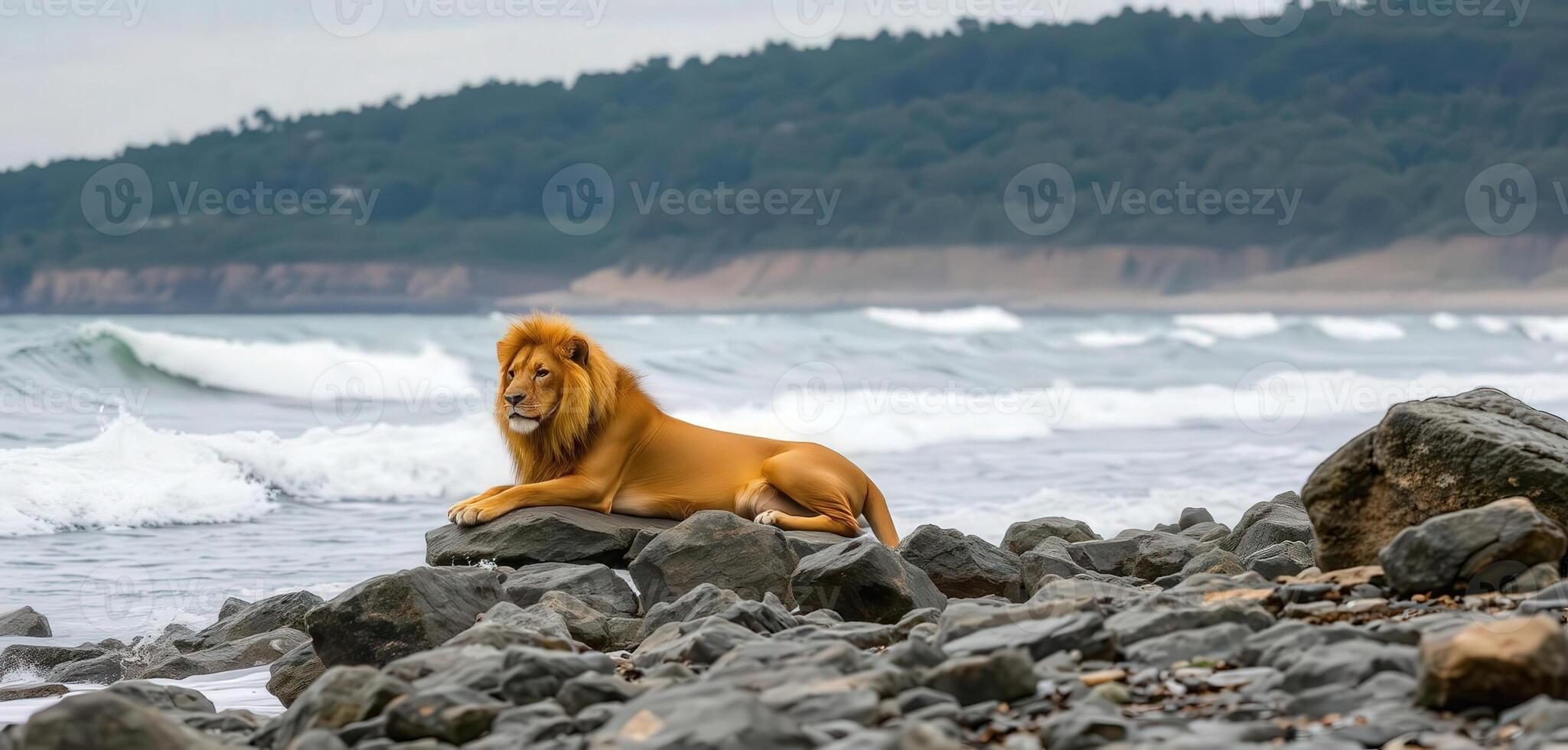 A lion sitting on a rock by the ocean photo