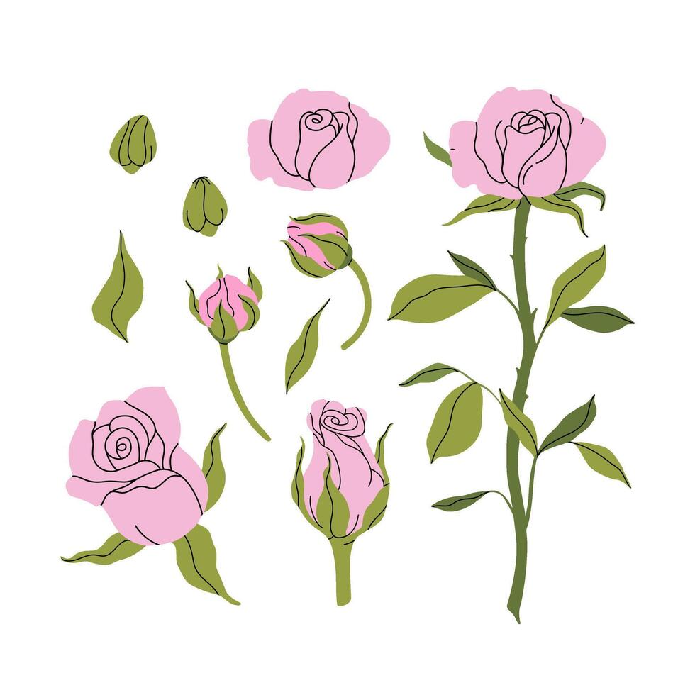 Set of hand-painted roses. Delicate pink flowers, buds, twigs and leaves. Fashion minimalist flower. Elegant botanical spring decor for your design, garden and flower shop. flat illustration. vector