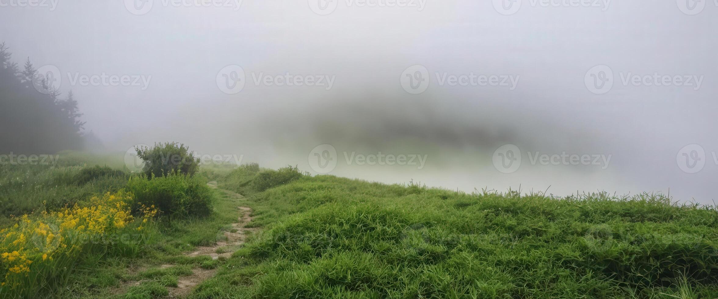 A path leads through a grassy field with a foggy sky photo