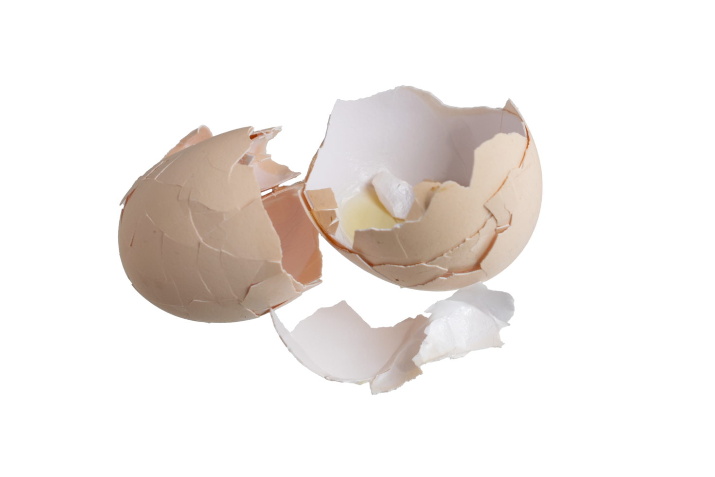 insulated egg shells png