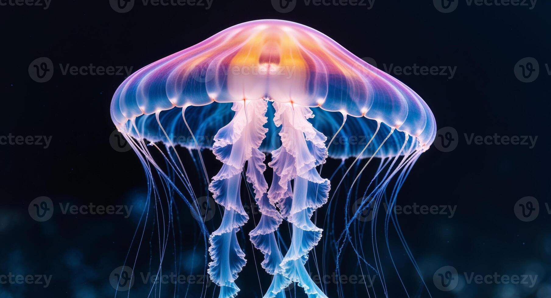 Beautiful Jellyfish with Colorful Glow in Dark Background. photo