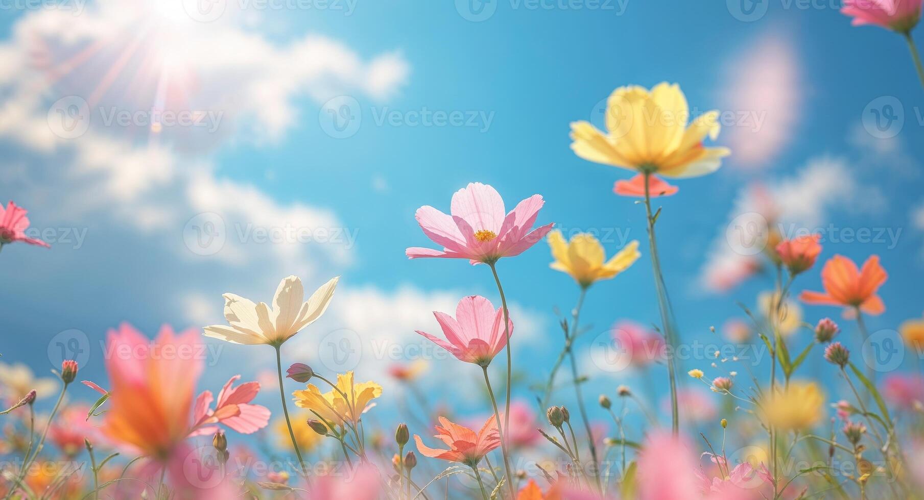 Colorful Wildflower Collage in Bright Sunlight with Blue Sky and Soft Focus Effect for Spring Vibes. photo