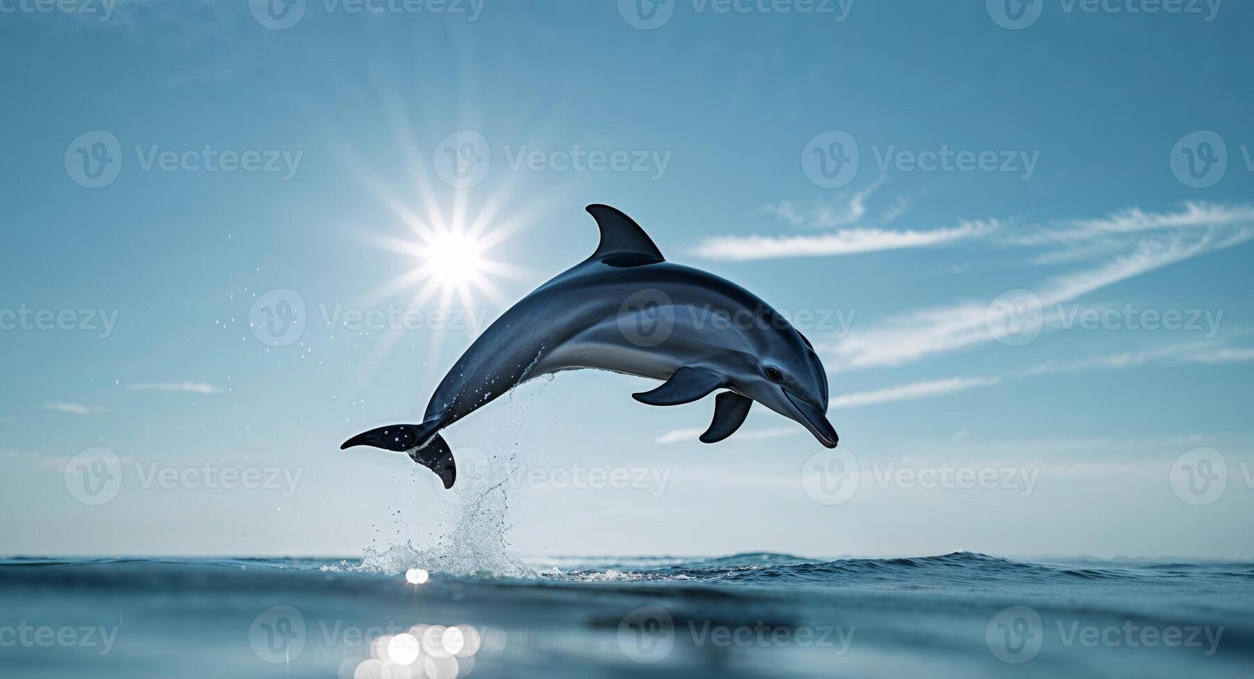 A dolphin leaps out of the ocean with clear skies and a bright sun in the background. photo
