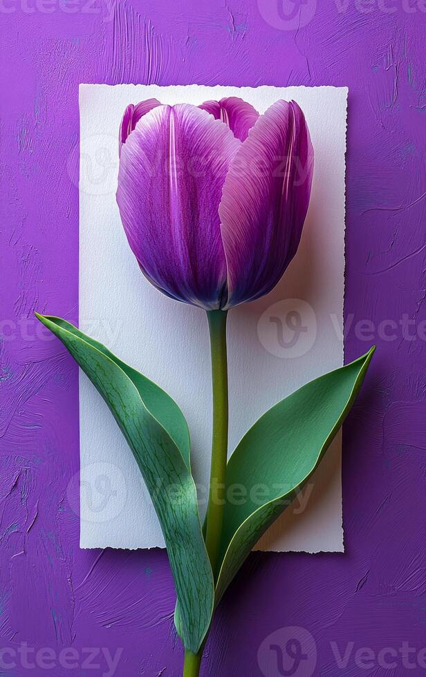 A purple flower is placed on a white background. The flower is the main focus of the image, and it is the most important element. The white background serves as a contrast to the purple flower photo