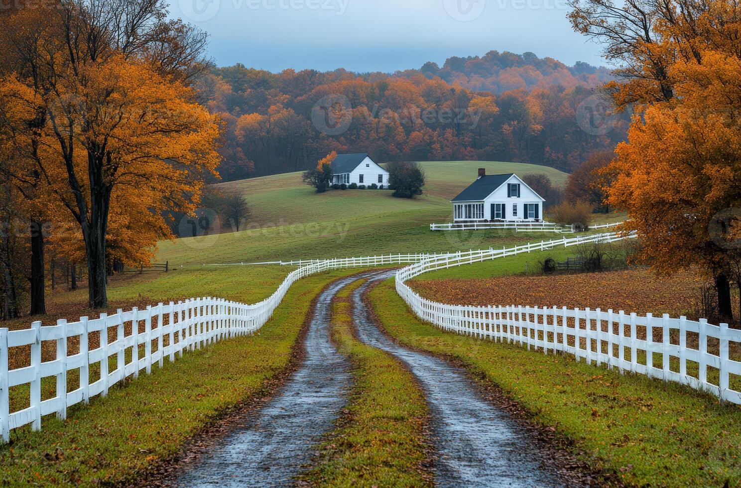 Autumn drive through scenery. A winding dirt road leads to charming houses, surrounded by vibrant autumn foliage under an overcast sky. photo