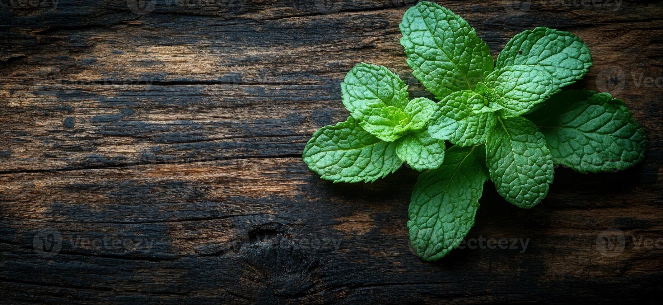 Mint leaves on wood surface. Freshly picked mint leaves arranged on a weathered wooden background, showcasing vibrant green colors and texture. photo