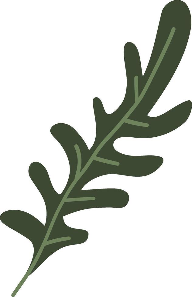 Green arugula healthy product, healthy life element, cartoon style, vector