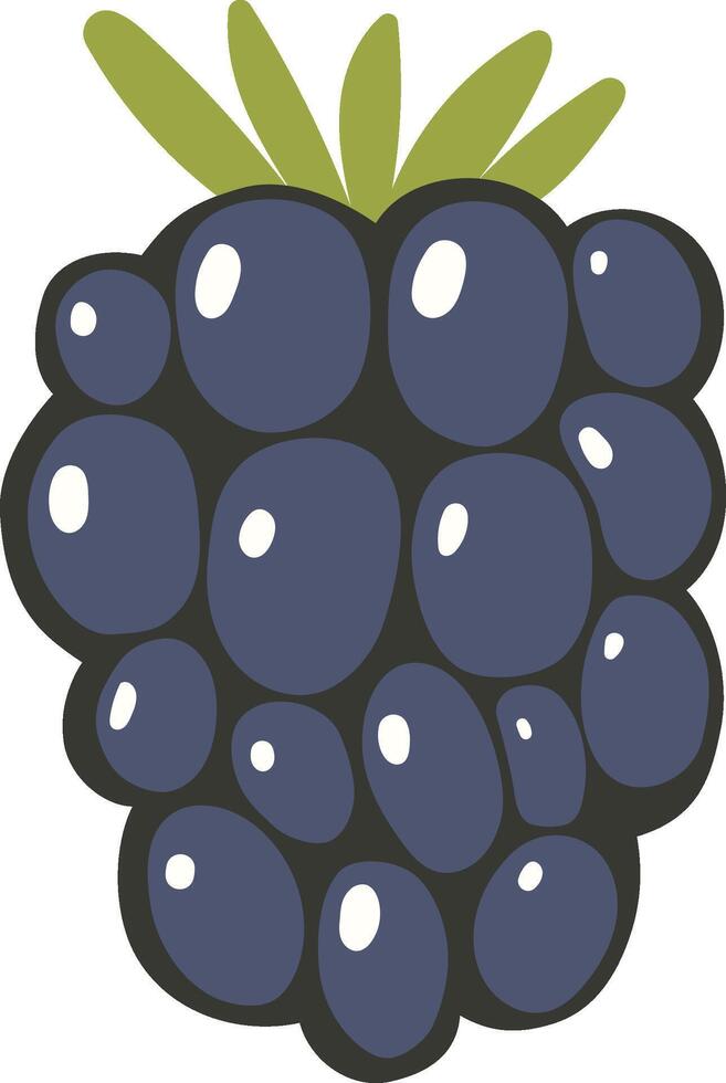 Blackberry isolated, healthy product, healthy life element, cartoon style, vector