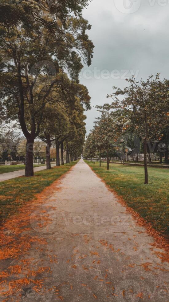 A path in a park with trees and grass photo
