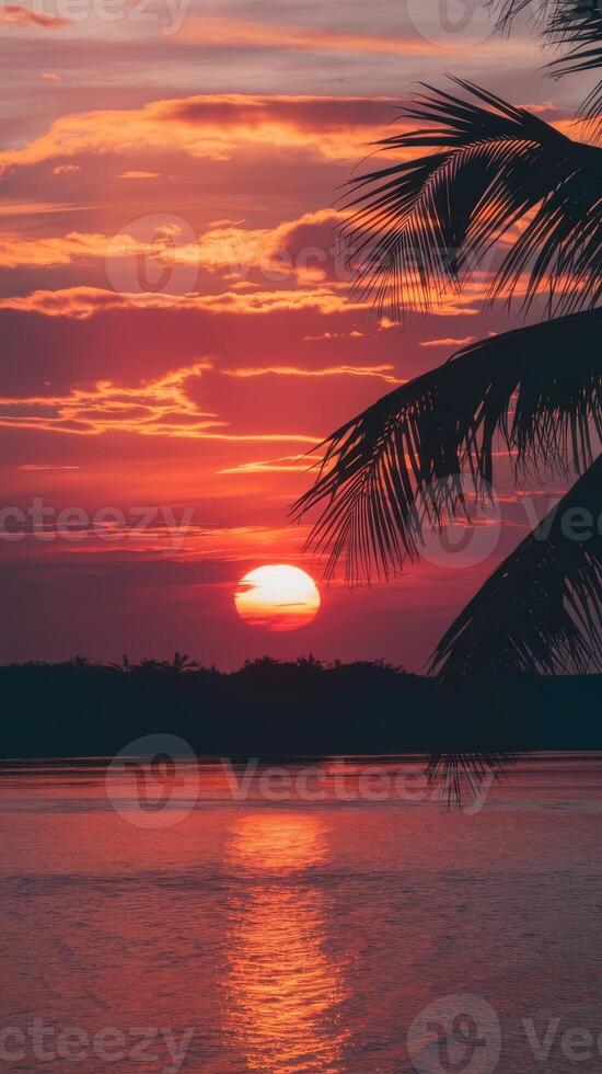 A sunset over the water with palm trees in the foreground photo