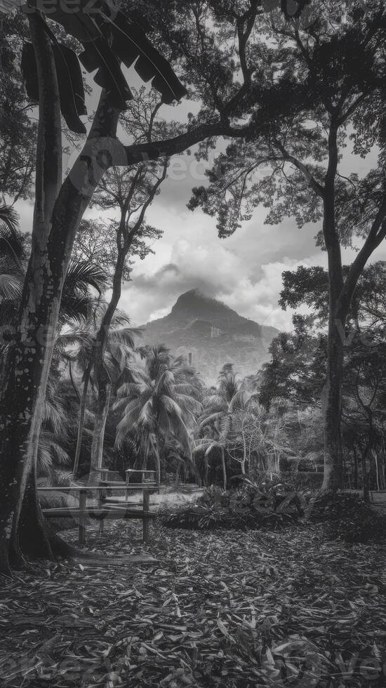 A black and white photo of a park with trees and a mountain in the background