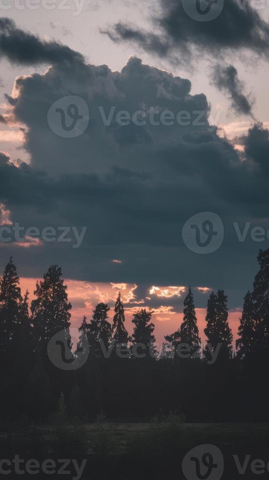 A dark sky with trees and clouds photo