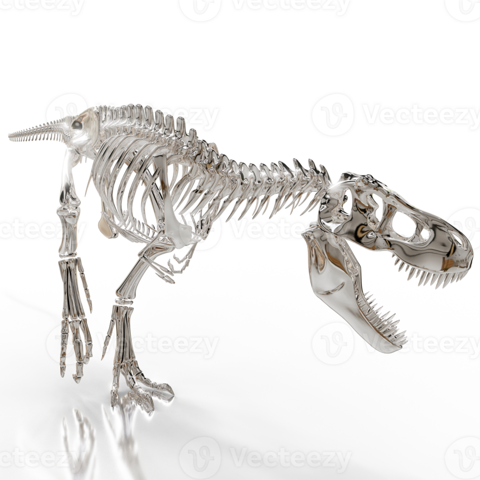 T-Rex Fossil Skeleton png