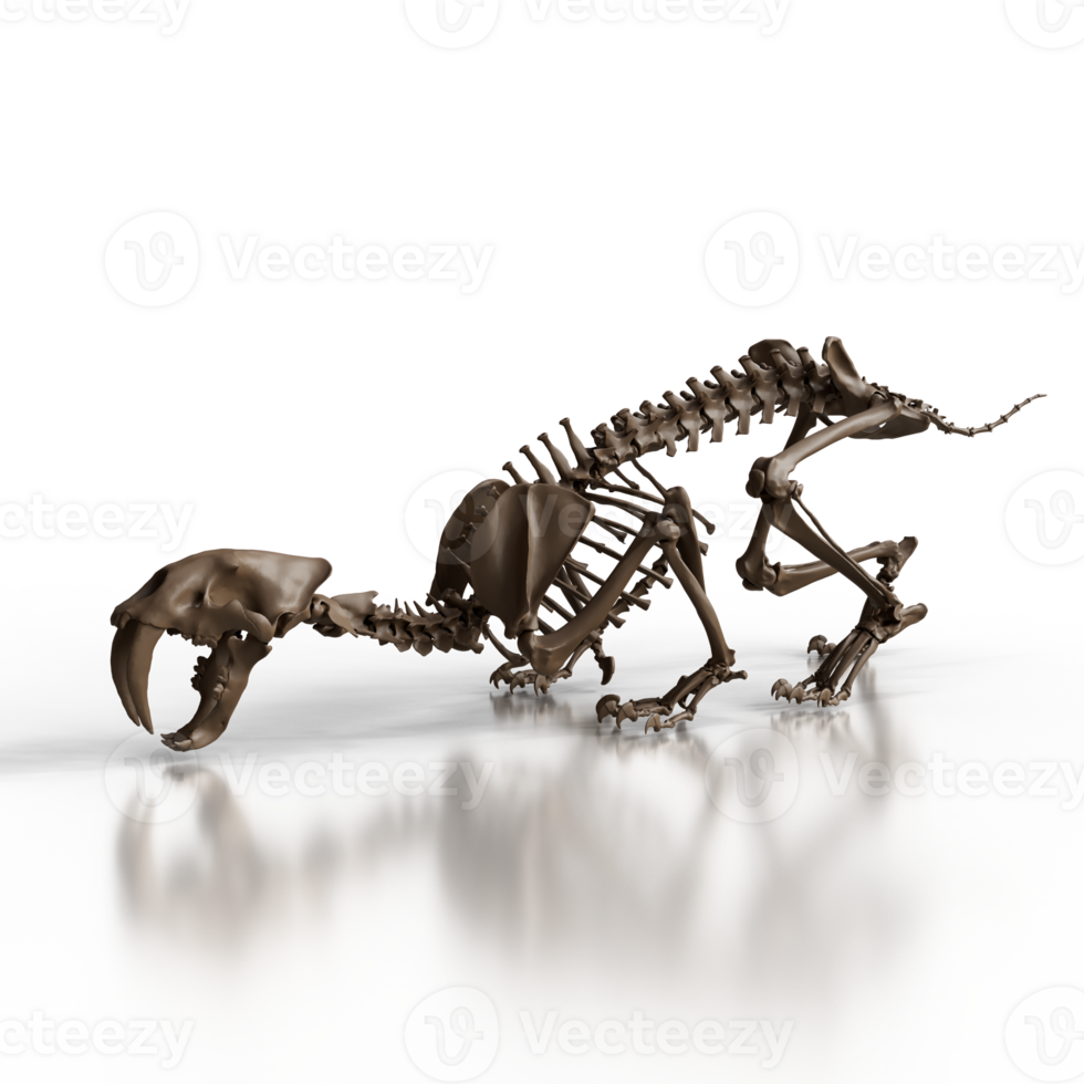 Smilodon Skeleton Concept Art png