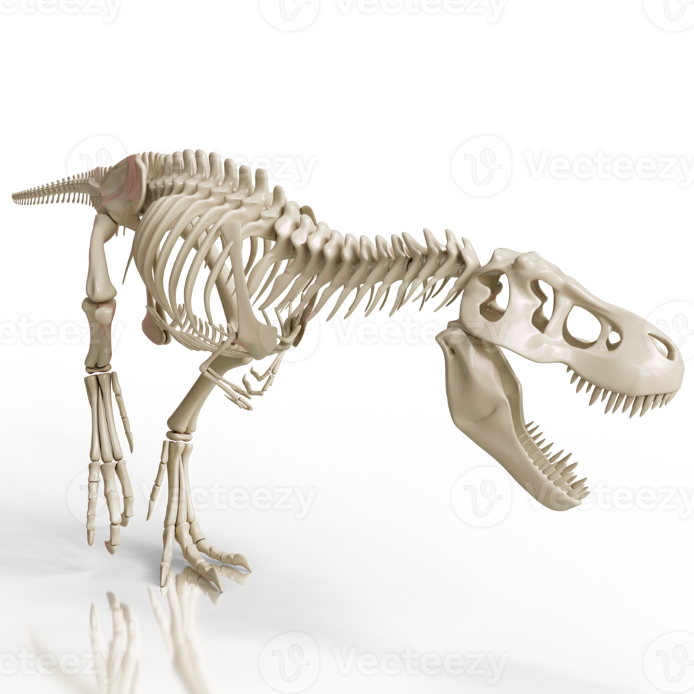 Tyrannosaurus Fossil Structure png