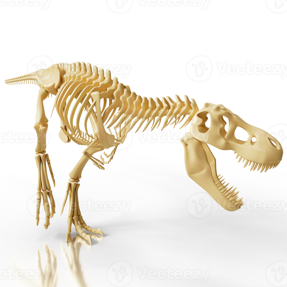 T-Rex Skeleton Render png