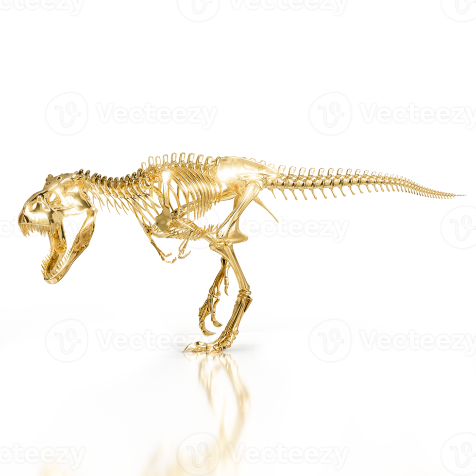 Fossilized Tyrannosaurus Rex Claws png
