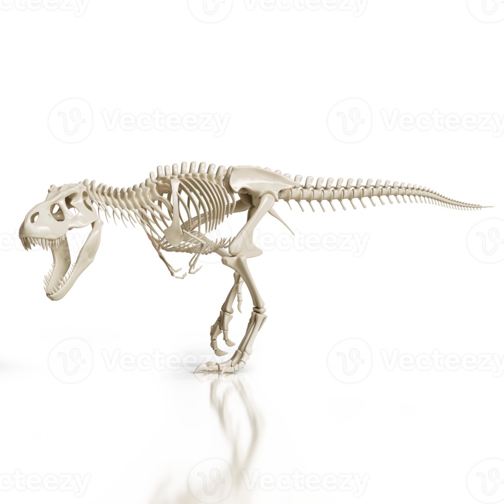 T-Rex Skeleton in Attack Pose png