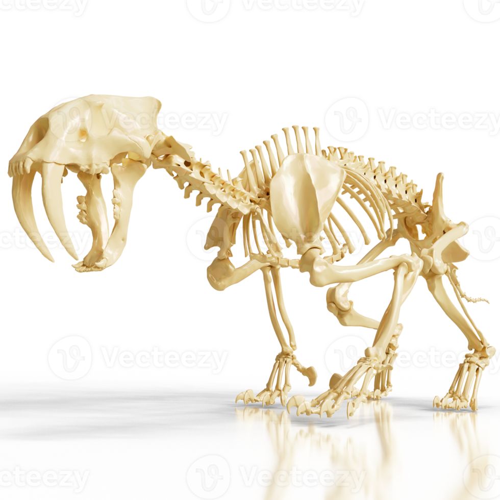 Dynamic Saber-Tooth Skeleton Pose png
