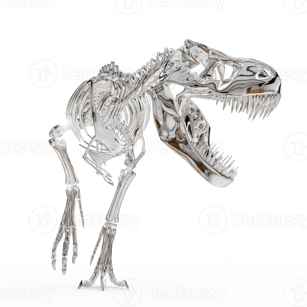 Realistic Tyrannosaurus Fossil Skeleton Replica png