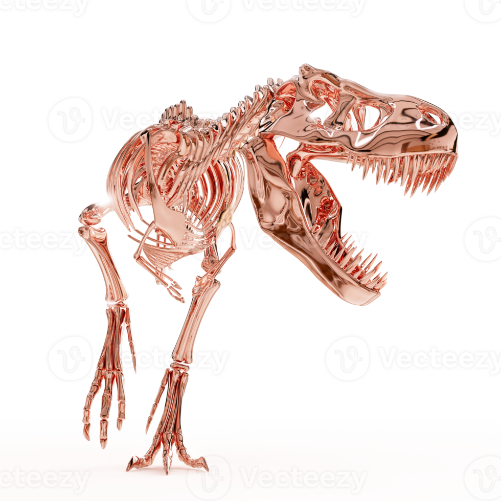Prehistoric Tyrannosaurus Skeleton Exhibit Model png