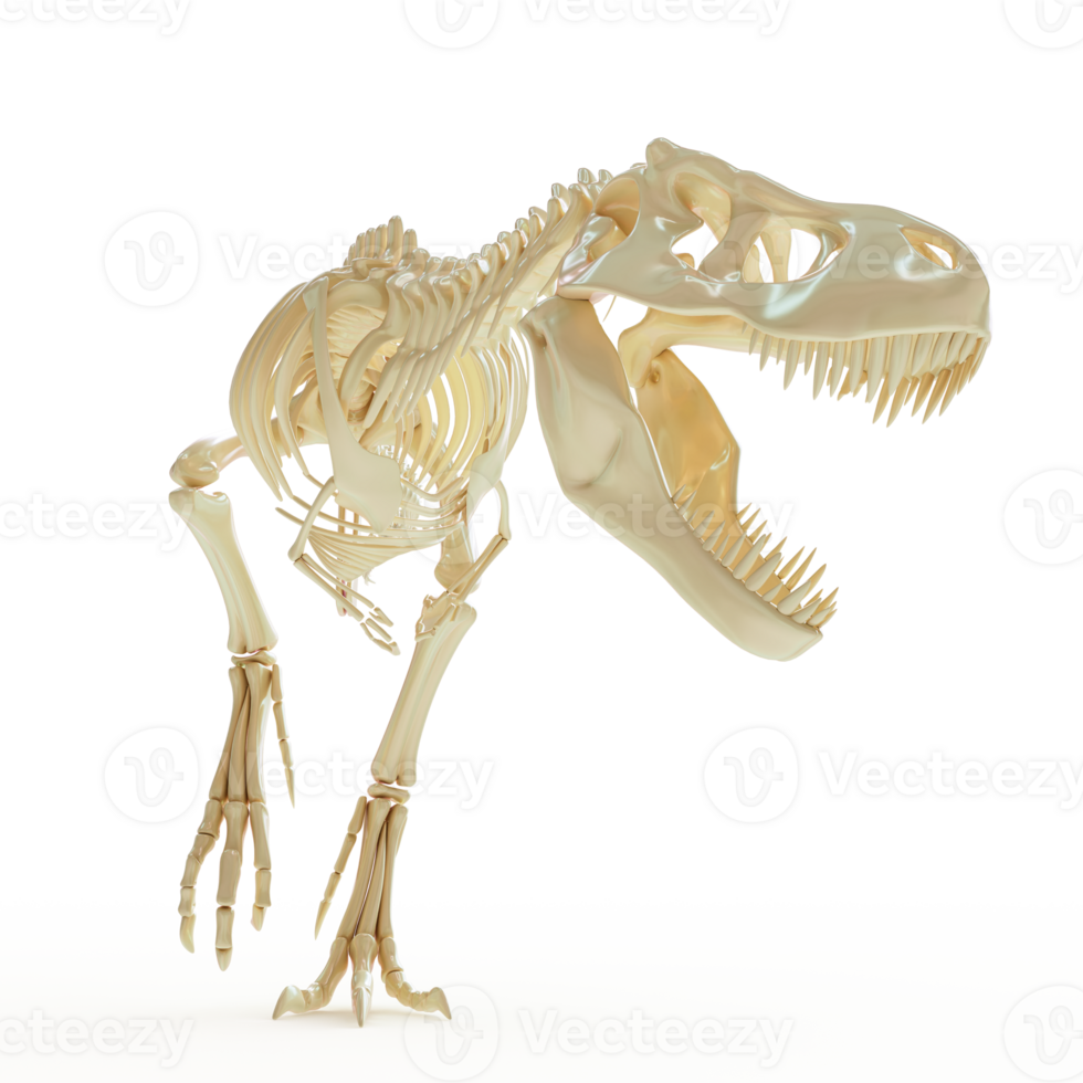 Majestic Tyrannosaurus Skeleton Fossil Display png