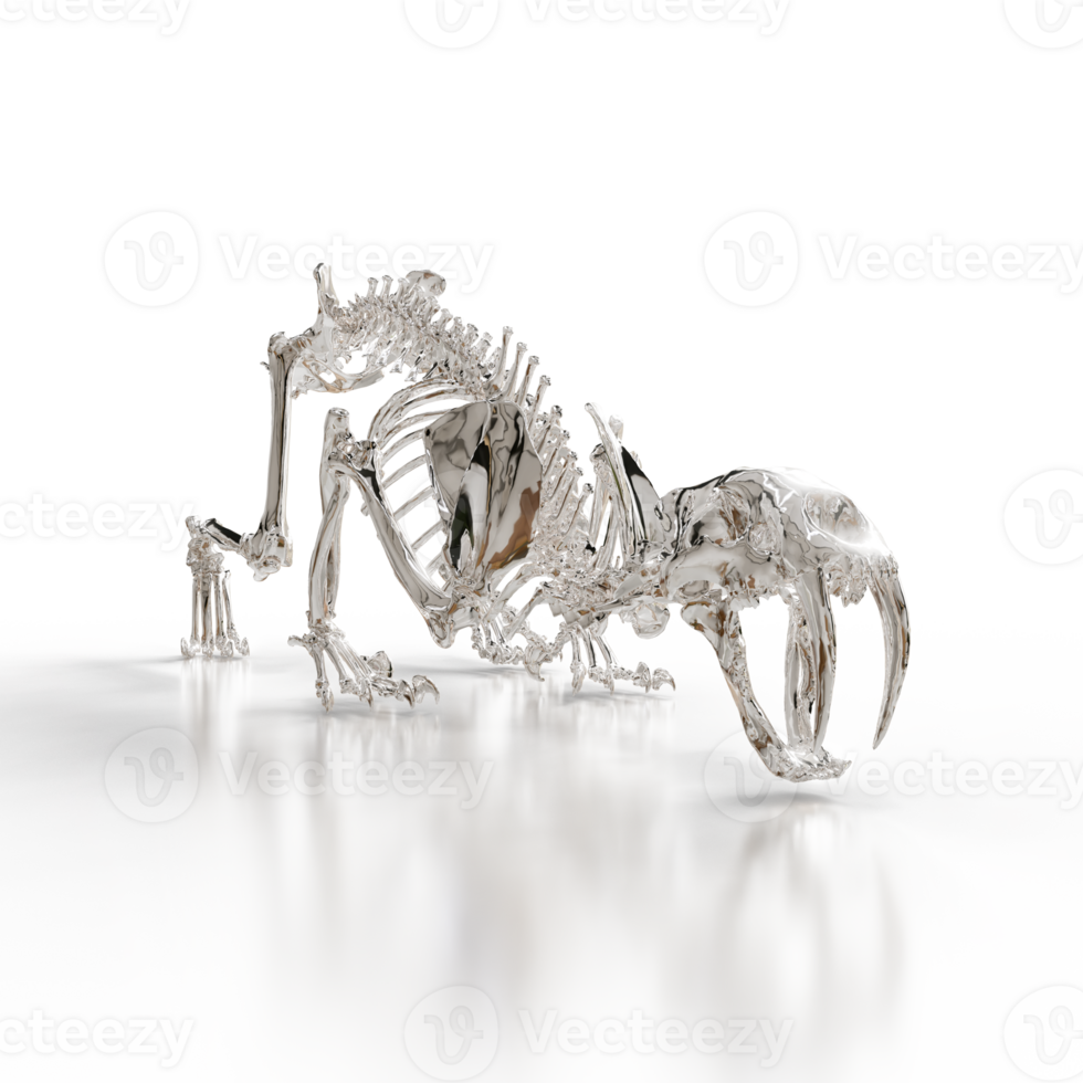 Sabretooth Anatomy Diagram png