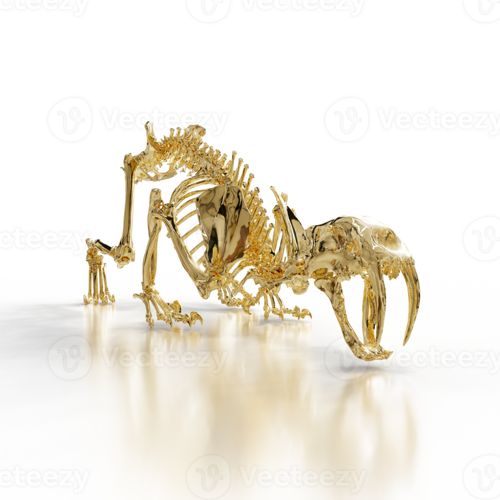 Sabretooth Teeth Fossil Close-Up png