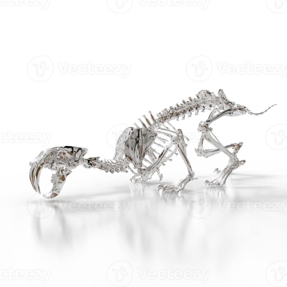 Sabretooth Skeleton Fossil png