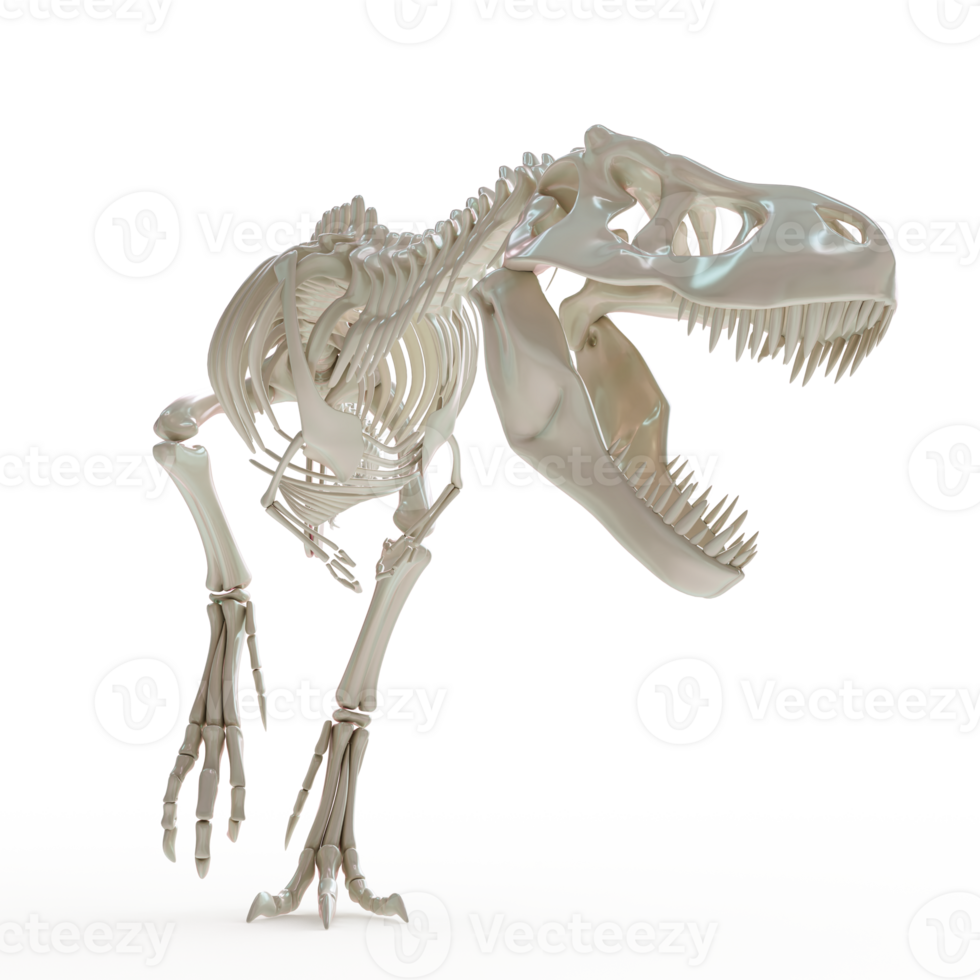 Jurassic Tyrannosaurus Rex Skeleton Showcase png