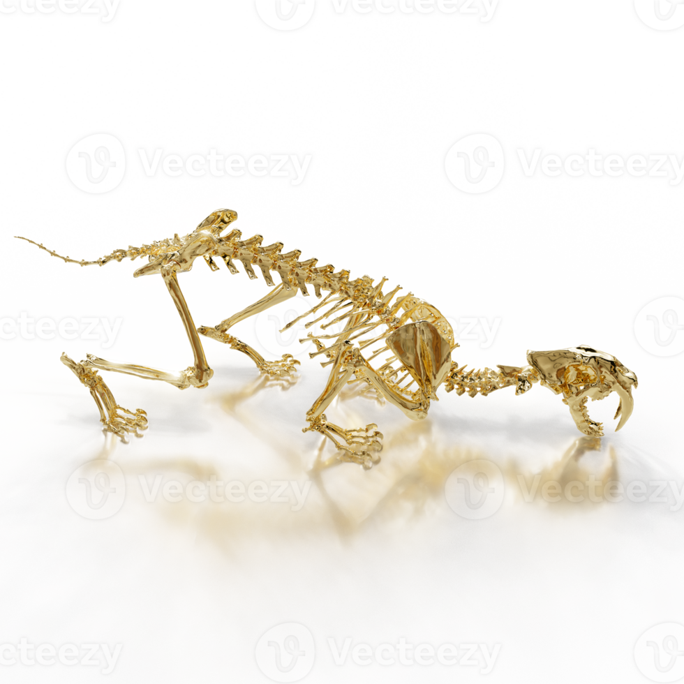 Fossilized Sabretooth Cat Structure png