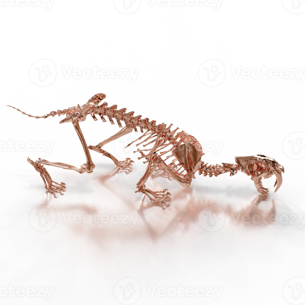 Ice Age Sabretooth Skeleton png